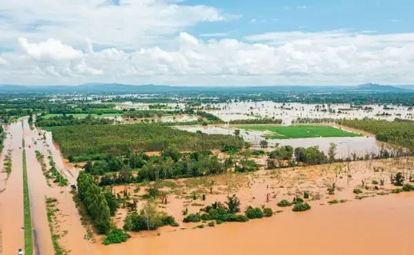 Mudanças climáticas: entenda como o Paraná se prepara para os desafios